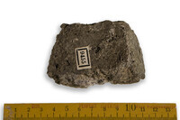 F 09455
<br/>
<br/>
<em></em>